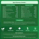the-foundation-bundle-super-green-deep-s-81dK2eL7FUL.jpg