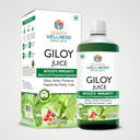 giloy-guduchi-ayurvedic-juice-500-ml-pac-81aBXemLfGL.jpg