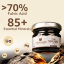 upakarma-pure-shilajit-resin-30g-300mg-s-81rS7Wn0kML.jpg