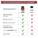 herb-essential-kapikachu-tablets-500mg-6-719nJZRSjfL.jpg