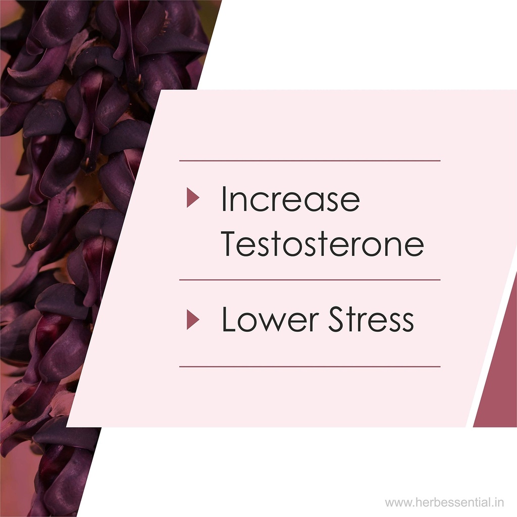 herb-essential-kapikachu-tablets-500mg-6-71Vg0YRoNJL.jpg