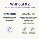 sugar-fit-vitamin-d3-k2-supplement-with--71ny2XLUWEL.jpg
