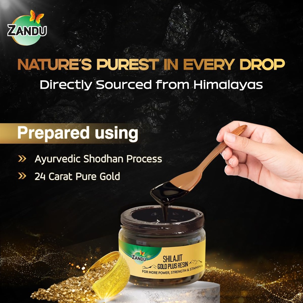 zandu-shilajit-shilajeet-gold-plus-resin-71Ofw3Y+INL.jpg