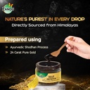 zandu-shilajit-shilajeet-gold-plus-resin-71Ofw3Y+INL.jpg