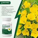 biotrex-nutraceuticals-evening-primrose--71AD7AcNYwL.jpg