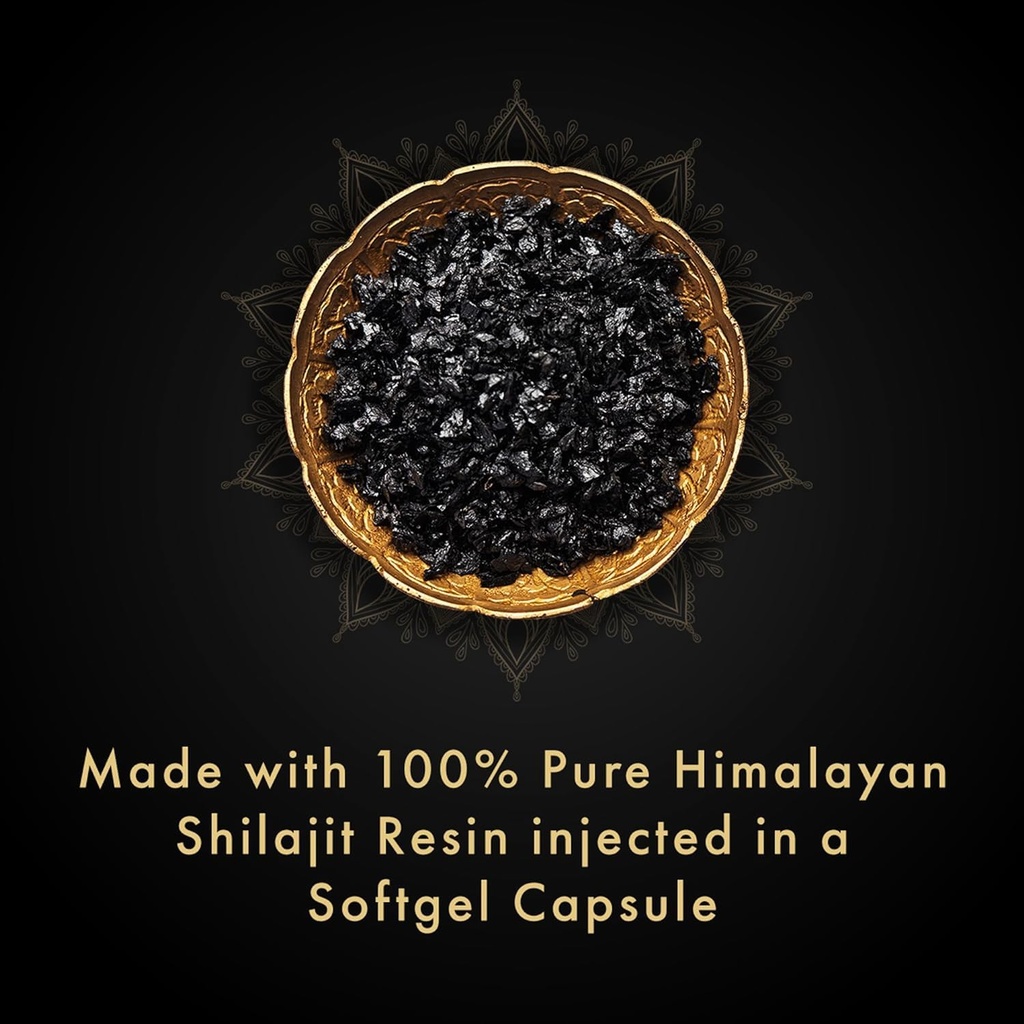 dr-vaidya-s-pure-himalayan-shilajit-resi-71Mr9S9WoUL.jpg