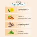nutrela-multivitamin-by-patanjali-30-veg-51i1jwvGnJL.jpg