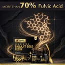 multani-essentials-himalayan-shilajit-go-81C630peqlL.jpg
