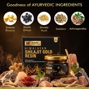 multani-essentials-himalayan-shilajit-go-91ldH04Mn3L.jpg