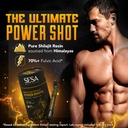 sesa-himalayan-shilajit-power-shots-30-s-71VWonft4pL.jpg