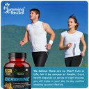 humming-herbs-berberine-supplement-8in1--81UGh1PfZ4L.jpg