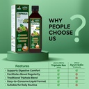 jeena-sikho-triphala-ras-juice-ayurvedic-81l1yD7b+pL.jpg