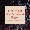 nature-s-way-black-elderberry-575-mg-100-81RBHoi1SzL.jpg
