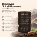 allove-shilajit-gummies-with-ksm-66-ashw-71cVyTspyLL.jpg