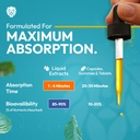 healeo-melatonin-10mg-sleep-drops-for-de-71eoIahRszL.jpg