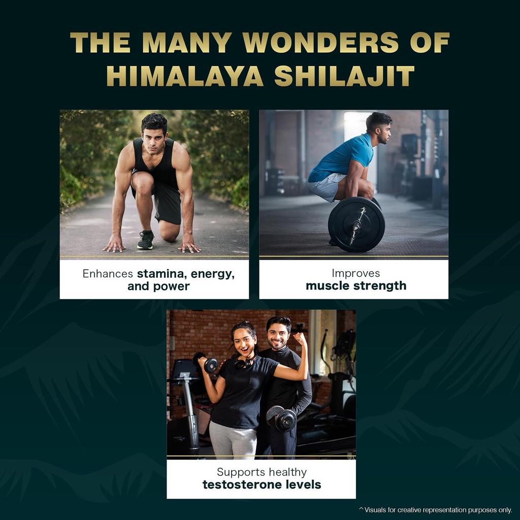 himalaya-shilajit-resin-20-g-enhances-st-71fNIYj7unL.jpg