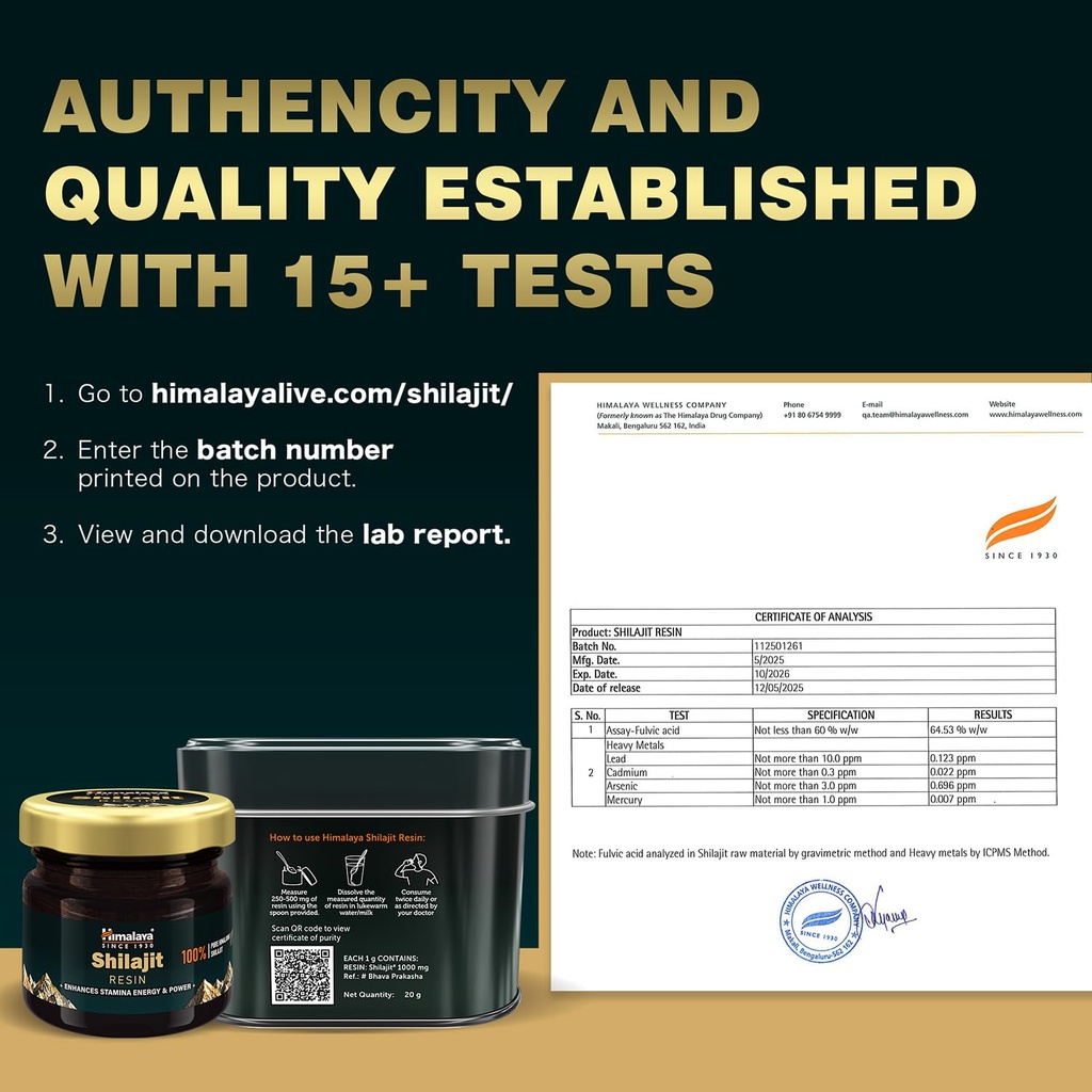 himalaya-shilajit-resin-20-g-enhances-st-710FKU-eyZL.jpg