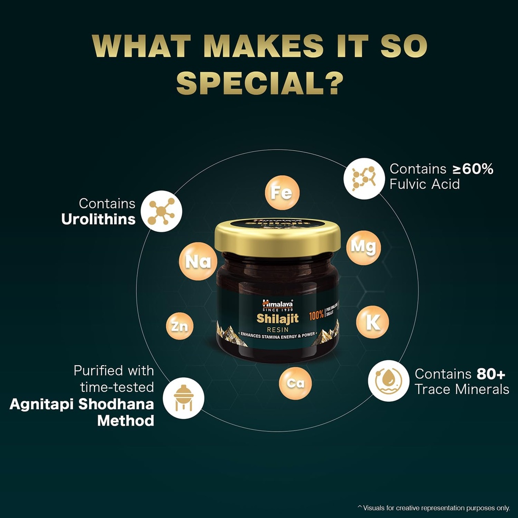 himalaya-shilajit-resin-20-g-enhances-st-61oms6QfD+L.jpg