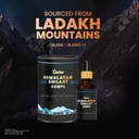 dabur-himalayan-pure-shilajit-drops-30ml-71xKUy2NFnL.jpg