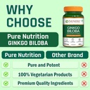pure-nutrition-ginkgo-biloba-gingko-bilo-71AuDmhPcRL.jpg