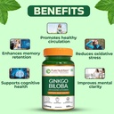 pure-nutrition-ginkgo-biloba-gingko-bilo-71YLzKYNRmL.jpg