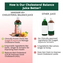 vansaar-45-cholesterol-balance-juice-1l--61+roxDsifL.jpg