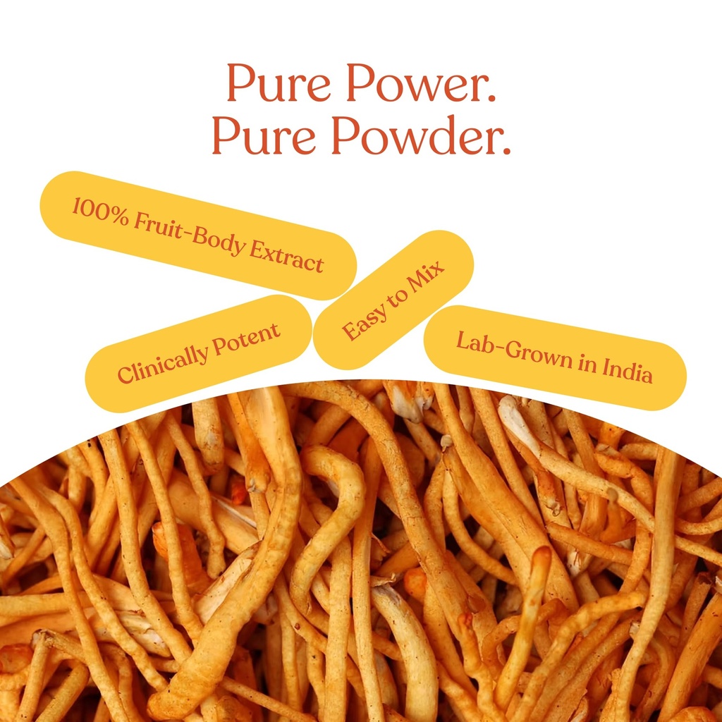 cordyceps-mushroom-extract-25g-natural-e-81uht3VytVL.jpg