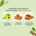 vansaar-triphala-juice-all-in-one-digest-71-mkq0W0YL.jpg