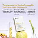 origins-nutra-evening-primrose-oil-500-m-71C3GZvv3mL.jpg