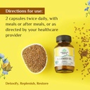 organic-india-flaxseed-oil-60-capsules-p-61VXM+mX--L.jpg