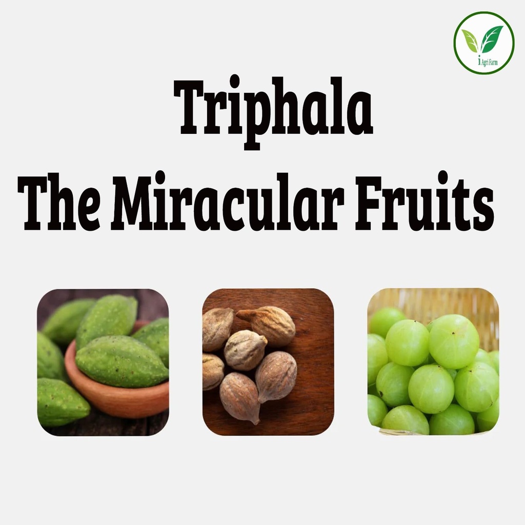 iagrifarm-triphala-raw-600-grams-dry-aml-61s9TVyV9jL.jpg