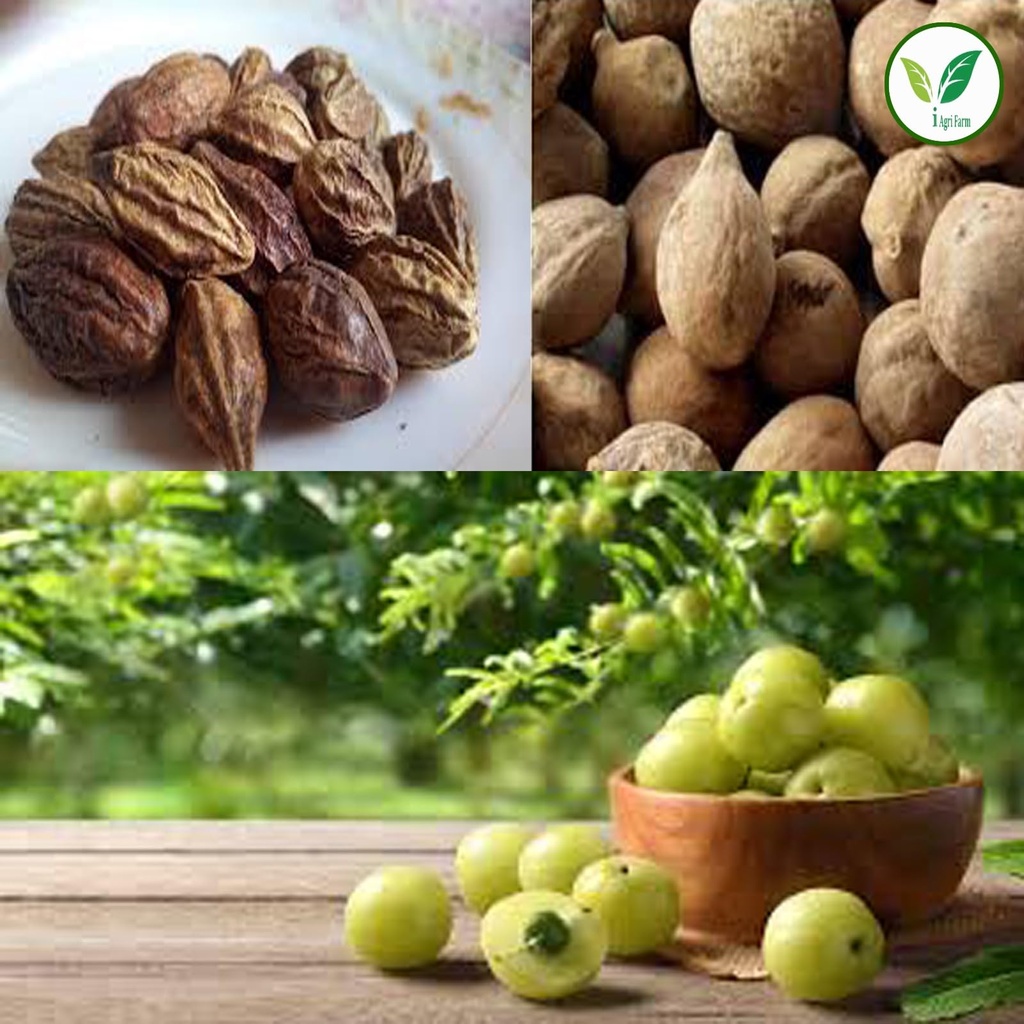 iagrifarm-triphala-raw-600-grams-dry-aml-71bQSeptwaL.jpg