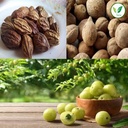 iagrifarm-triphala-raw-600-grams-dry-aml-71bQSeptwaL.jpg