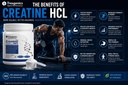 trexgenics-creatine-hcl-pure-powder-83-s-71HZSf+xd3L.jpg