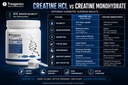 trexgenics-creatine-hcl-pure-powder-83-s-71XvGooMxVL.jpg