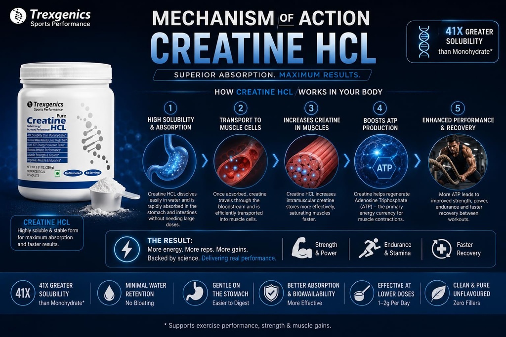 trexgenics-creatine-hcl-pure-powder-83-s-71aNPPvBdrL.jpg