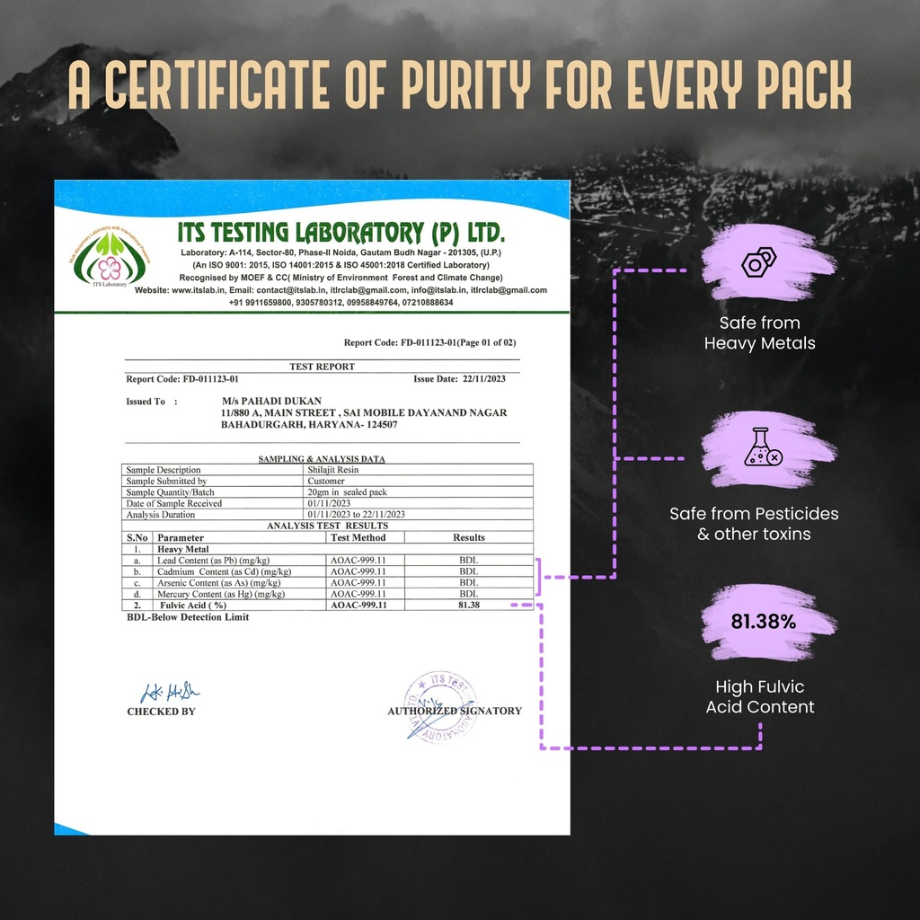 my-pahadi-dukan-ladakhi-shilajit-resin-2-81NSIfni8RL.jpg
