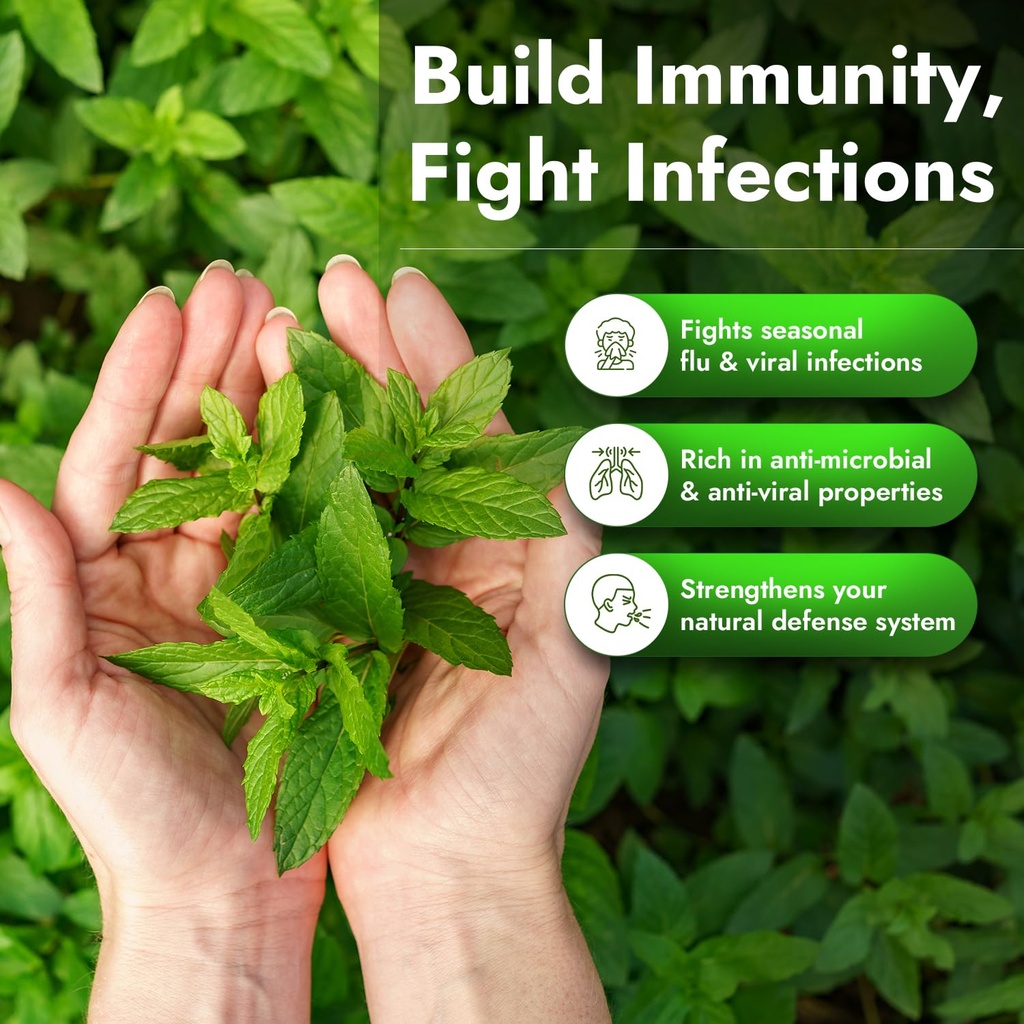 nutriorg-tulsi-ark-natural-immunity-boos-71phTx823pL.jpg
