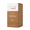baidyanath-trusoul-gokshura-60-veg-capsu-61QVv+mp1wL.jpg