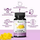 herbs-health-evening-primrose-oil-capsul-81WykzwDQ8L.jpg