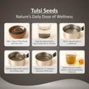 purearanya-natural-tulsi-seeds-100g-boos-81xOdYLDABL.jpg