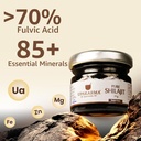 upakarma-pure-shilajit-resin-20g-300mg-s-71f69N7p8VL.jpg