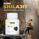 jeena-sikho-shilajit-100-herbal-suppleme-710SVcOqQ9L.jpg