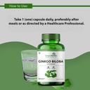 simply-herbal-ginkgo-biloba-120mg-with-b-617h3n5nkgL.jpg