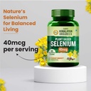 vlado-s-himalayan-organics-plant-based-s-71A+JUA9cGL.jpg
