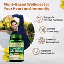 vlado-s-himalayan-organics-plant-based-s-71c2xUzFsiL.jpg