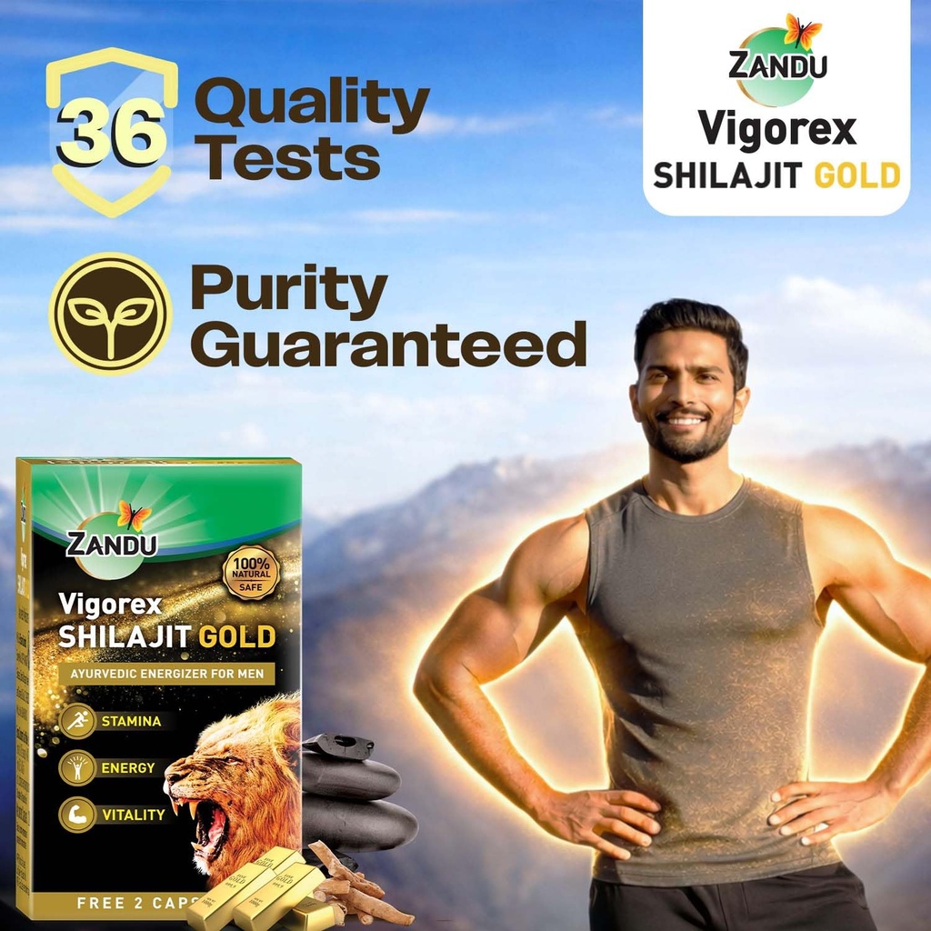 zandu-vigorex-shilajit-gold-12-capsules-71zLqyTJmuL.jpg