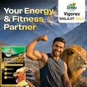 zandu-vigorex-shilajit-gold-12-capsules-71Bt2+3RjeL.jpg
