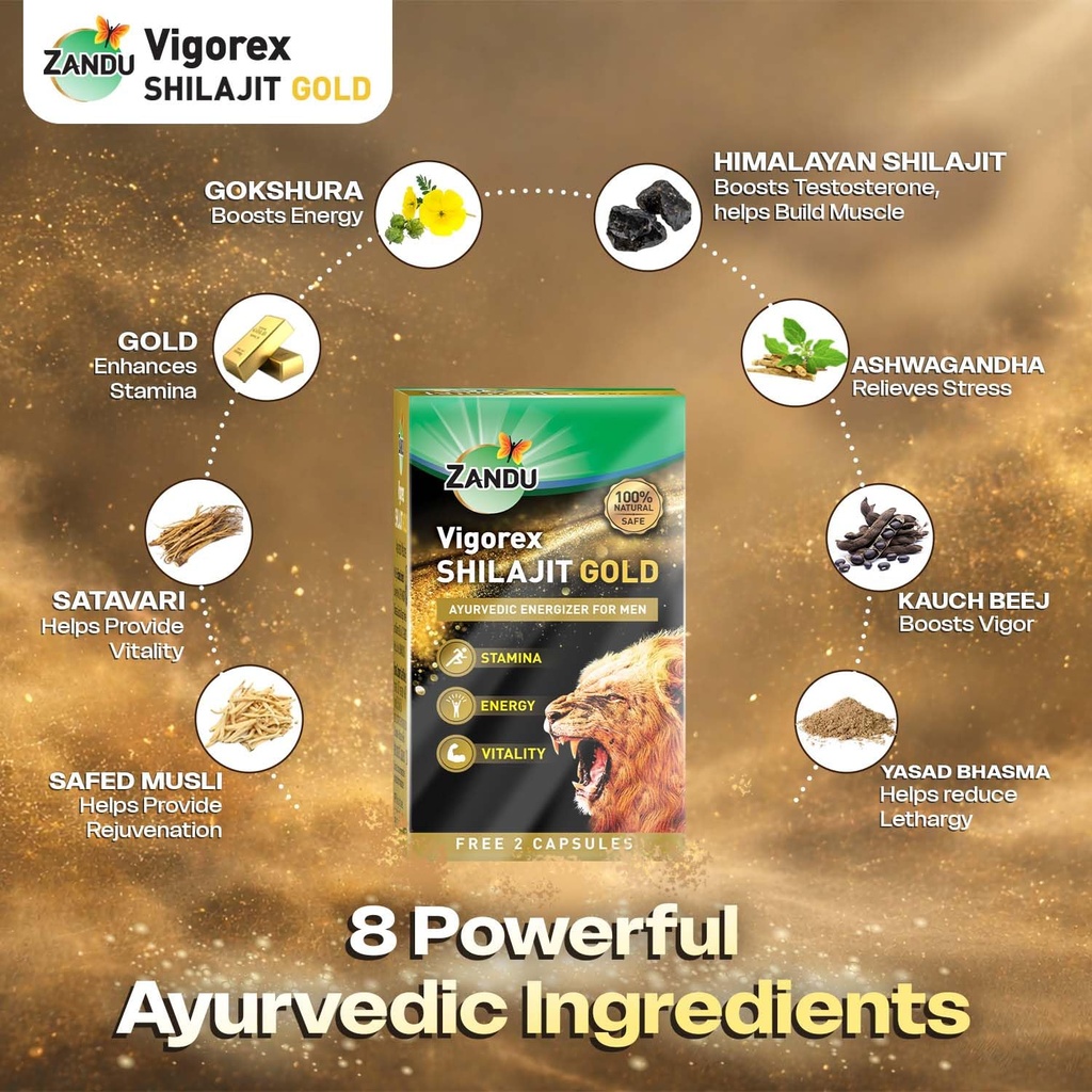 zandu-vigorex-shilajit-gold-12-capsules-71c2irH2AxL.jpg