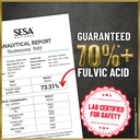 sesa-himalayan-shilajit-original-30-g-sh-71qLBRhjgdL.jpg